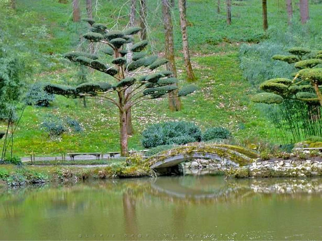 149 PARC ORIENTAL DE MAULEVIER MAINE ET LOIRE 2016 N2_000003.jpg